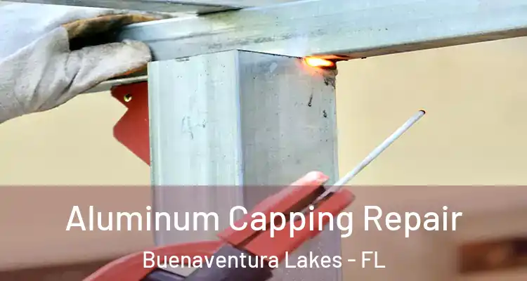  Aluminum Capping Repair Buenaventura Lakes - FL