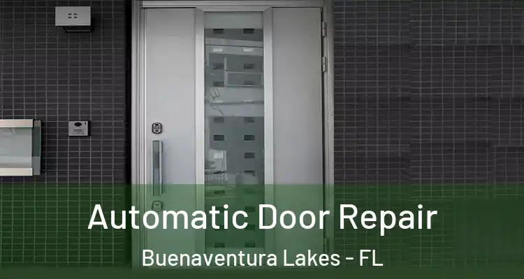  Automatic Door Repair Buenaventura Lakes - FL