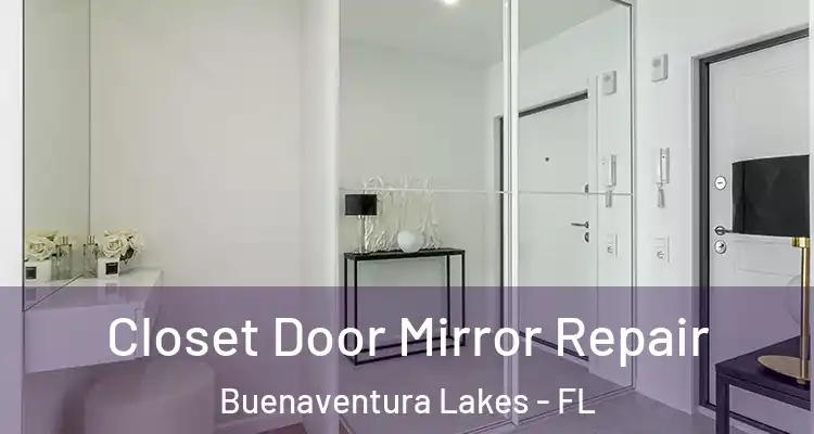  Closet Door Mirror Repair Buenaventura Lakes - FL