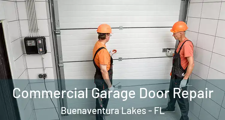  Commercial Garage Door Repair Buenaventura Lakes - FL
