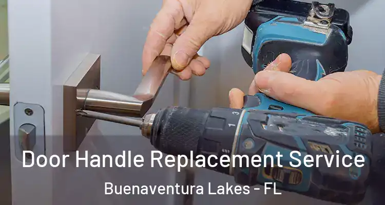  Door Handle Replacement Service Buenaventura Lakes - FL