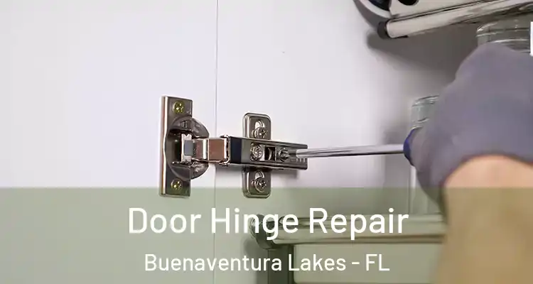  Door Hinge Repair Buenaventura Lakes - FL