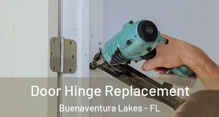  Door Hinge Replacement Buenaventura Lakes - FL