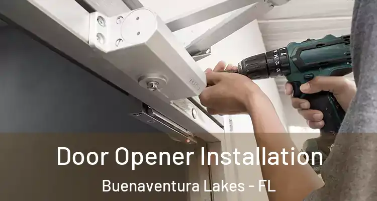  Door Opener Installation Buenaventura Lakes - FL