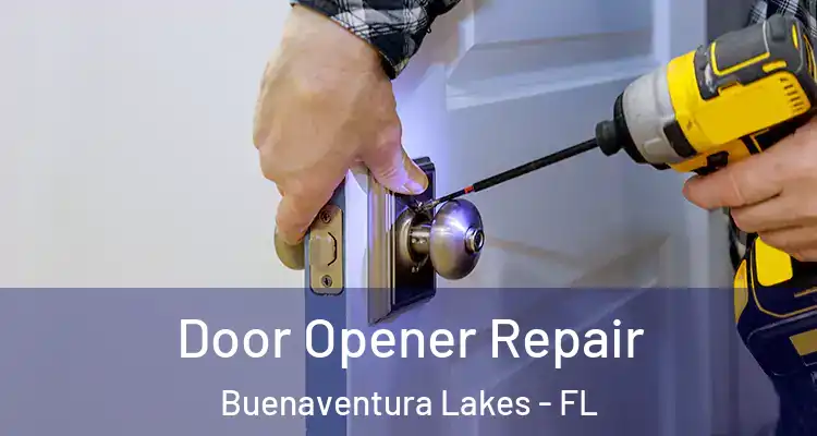  Door Opener Repair Buenaventura Lakes - FL