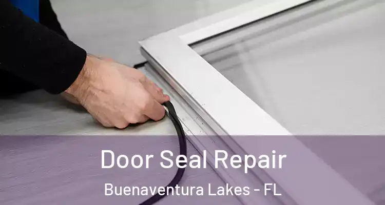  Door Seal Repair Buenaventura Lakes - FL
