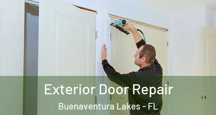  Exterior Door Repair Buenaventura Lakes - FL