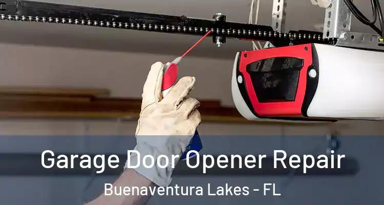  Garage Door Opener Repair Buenaventura Lakes - FL