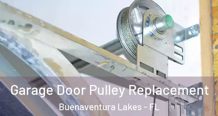  Garage Door Pulley Replacement Buenaventura Lakes - FL