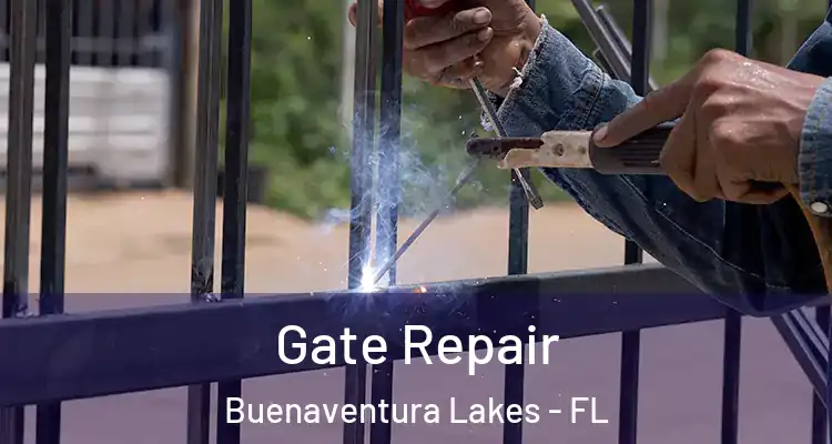  Gate Repair Buenaventura Lakes - FL
