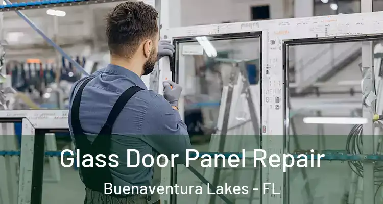  Glass Door Panel Repair Buenaventura Lakes - FL