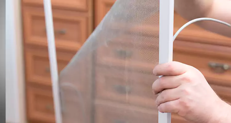 Privacy Mesh Screen Door Installation in Buenaventura Lakes, FL