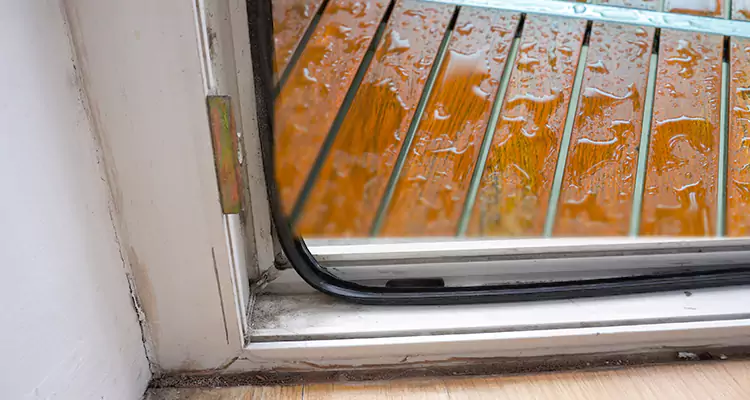 Water Leaking Wooden Patio Doors Repair in Buenaventura Lakes, FL