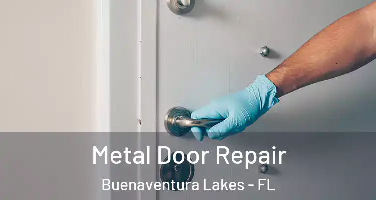  Metal Door Repair Buenaventura Lakes - FL