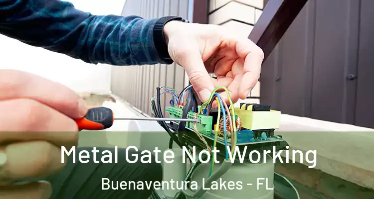  Metal Gate Not Working Buenaventura Lakes - FL
