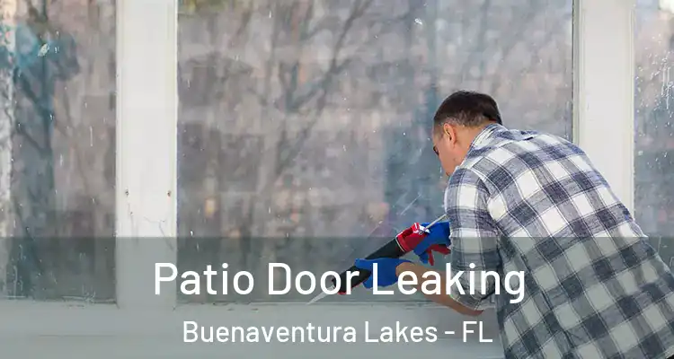  Patio Door Leaking Buenaventura Lakes - FL