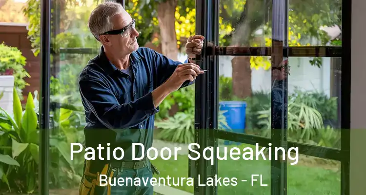  Patio Door Squeaking Buenaventura Lakes - FL