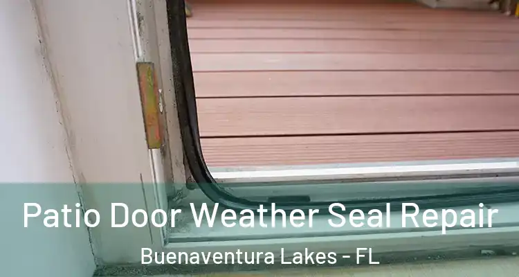  Patio Door Weather Seal Repair Buenaventura Lakes - FL