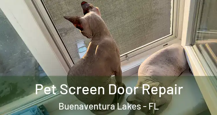  Pet Screen Door Repair Buenaventura Lakes - FL