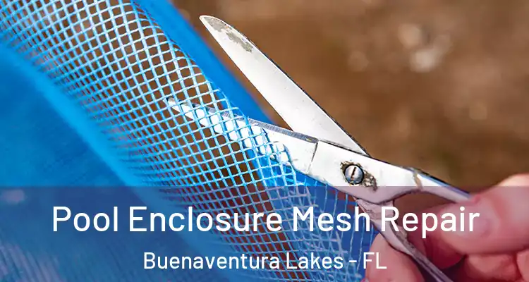  Pool Enclosure Mesh Repair Buenaventura Lakes - FL