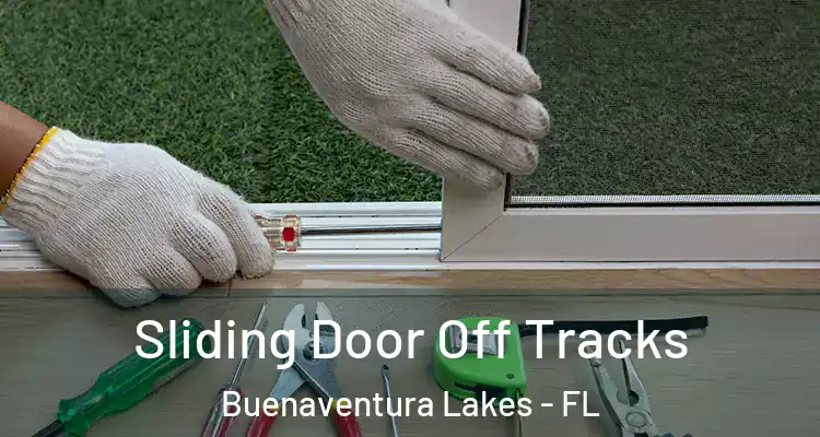  Sliding Door Off Tracks Buenaventura Lakes - FL