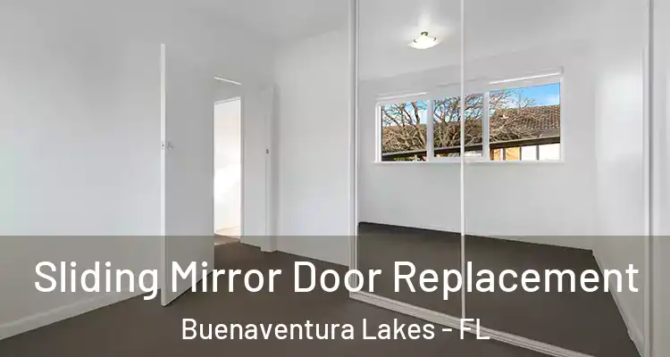  Sliding Mirror Door Replacement Buenaventura Lakes - FL