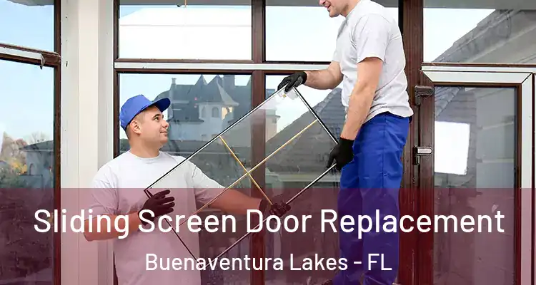  Sliding Screen Door Replacement Buenaventura Lakes - FL