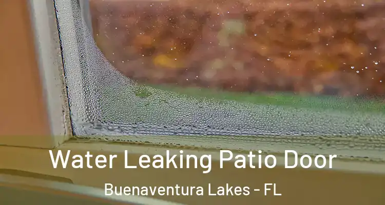  Water Leaking Patio Door Buenaventura Lakes - FL